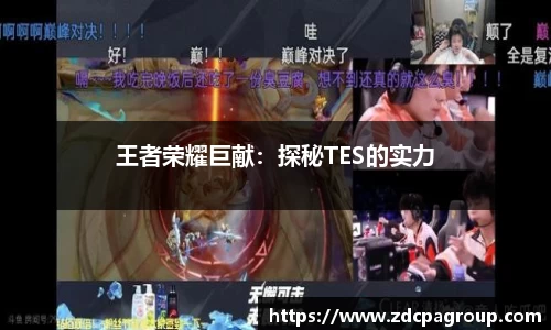 王者荣耀巨献：探秘TES的实力